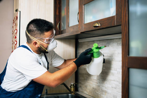Best Pest Inspection Near Me  in Wharton, NJ