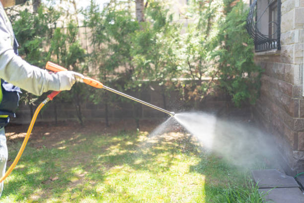 Reliable Wharton, NJ Pest Control Solutions