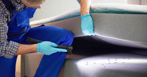 Best Bed Bug Extermination  in Wharton, NJ