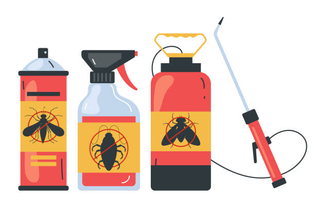 Best Spider Control Near Me  in Wharton, NJ