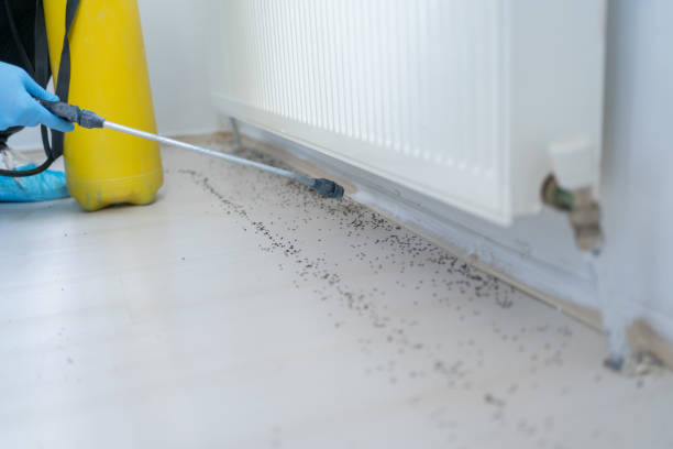 Best Insect Control  in Wharton, NJ
