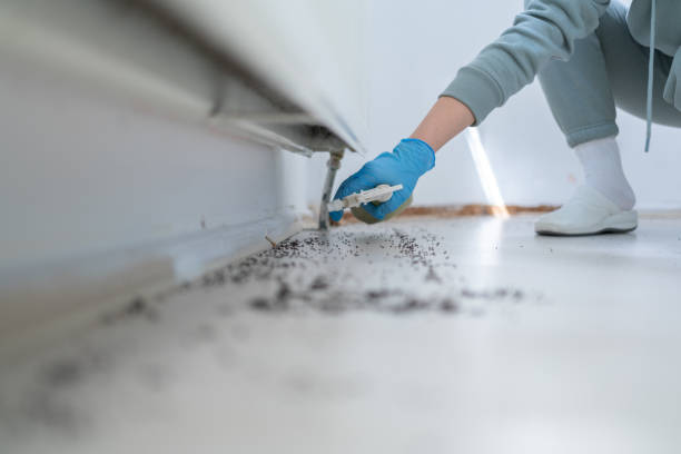 Best Affordable Pest Control Services  in Wharton, NJ