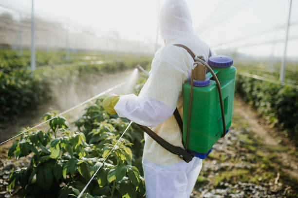 Best Residential Pest Control  in Wharton, NJ
